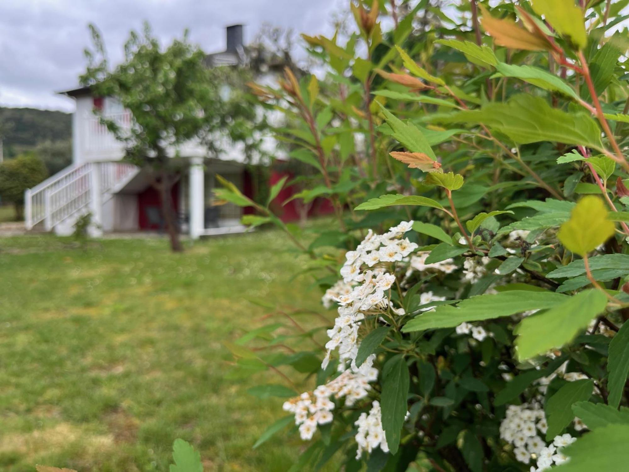 A Casina Casa Rural En Galicia Ourense Eksteriør bilde